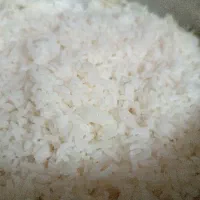 برنج عنبر بو