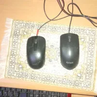 دوتا موس کامپیوتر باهم