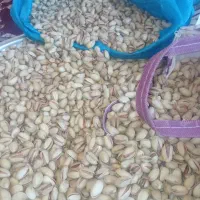 پسته|خوردنی و آشامیدنی|رشتخوار, |دیوار