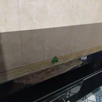 میز تلویزیون شیشه ای|میز تلویزیون|مشهد, فاطمیه|دیوار