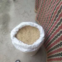 جو درجه یک