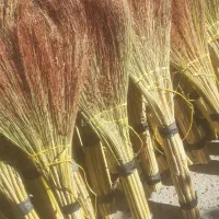 جارو اماده رسیده|لوازم نظافت|رومشکان, |دیوار