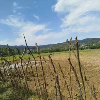 زمین شفت روستا بیجار سر|فروش زمین و ملک کلنگی|رشت, سلیمانداراب|دیوار