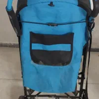 کالسکه وتخت پارکی