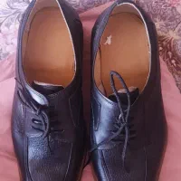 کفش مردانه|کیف، کفش، کمربند|کرج, گوهردشت|دیوار