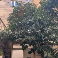 دربستی-دوطبقه-و-نیم-سلسبیل-بوستان