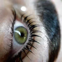 اکستنشن مژه ، لیفت و لمینت مژه و ابرو|خدمات آرایشگری و زیبایی|محمدیه-قزوین, |دیوار