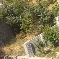 زمین