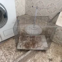 قفس