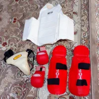 دستکش و هوگو و ساق بند و محافظ بدن مخصوص ورزش رزمی