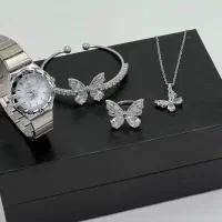 اکسسوری   (جایزه 100تومنی)