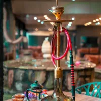 استخدام تضمینی نیرو در کافه رستوران|استخدام خدمات فروشگاه و رستوران|تهران, زعفرانیه|دیوار