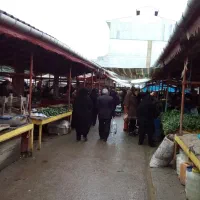 غرفه داخل بازار بصیر