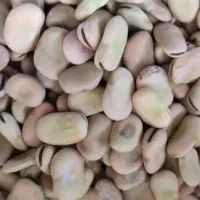 باقلا اصل  قراملک