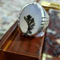 انگشتر شجر