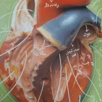 جزوه+کتاب کنکور تجربی