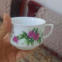 ظروف گلسرخی قدیمی نو