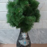 دوعددگلدان بزرگ انتیک