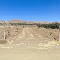 باغ نیمه کاره درجه ۱|فروش زمین و ملک کلنگی|سقز, |دیوار