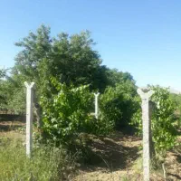 باغچه خیلی زیبا و بارده در روستای جمال آباد ارومیه|فروش دفتر صنعتی، کشاورزی، تجاری|انزل, |دیوار
