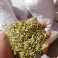 خار دانه دارم نرم نرم