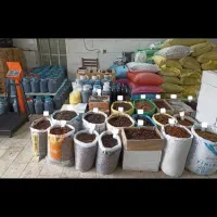 مرکز پخش انواع اسانس،کشمش،خرما،شیره،مخمر توربو