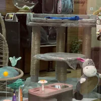 پت شاپ وکلینیک دکتر طاهری