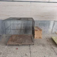 پرنده لونه قفس 3تا‌‌