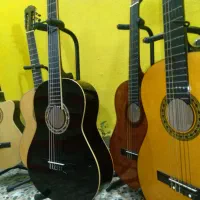 یک سری گیتارهای خارجی آگوستینی