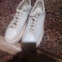 کفش سایز 42کاملن نو رایگان کسی نیازمنده باشع