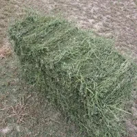 جو و پرس یونجه درجه یک زیر قیمت بازار