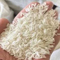 برنج فجر سوزنی۹۰روزه طعم عالی