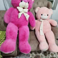 خرس یک متری نو نو