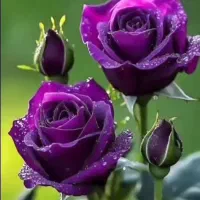 کار به جهت مشاوره پوست‌و مو و زیبایی با کسب درآمد