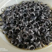 فروش عمده انگشتر ورکاب خالی|بدلیجات|شیراز, بازار|دیوار