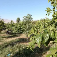 کارگر روز مزد