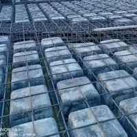 اکیپ آرماتوربند قالب بند ماهر نیمه ماهر کارگرساده|استخدام معماری، عمران و ساختمانی|پرند, فاز ۶|دیوار