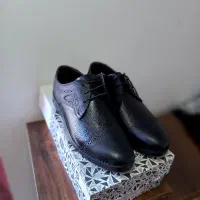 کفش چرمی|کیف، کفش، کمربند|اهر, |دیوار