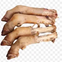 پاچه گوسفندی