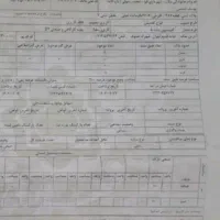 فروش زمین ۲۰۰ متری در شهرک صنوف