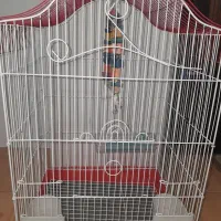 قفس پرنده|لوازم جانبی حیوانات|گنبد کاووس, |دیوار