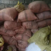 کاه نخود برای گوسفند گاو