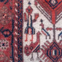 فرش دستباف آنتیک افشار پاریز سیرجان|فرش|کرمان, |دیوار