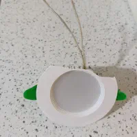 هالوژن سقفی