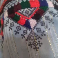 کسی هست شیرازع این کپو بدوزه بدلی  یا پولی