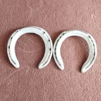 نعل های زیر پای اسب رفته