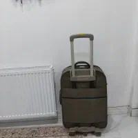 چمدان|کیف، کفش، کمربند|خشکبیجار, |دیوار