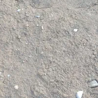 زمین55 متری، فیمت مناسب110 میلیون