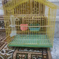 قفس کوچک پرنده|لوازم جانبی حیوانات|لاهیجان, لیالستان|دیوار