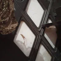 میز جلو مبلی مناسب آرایشگاه ویلا